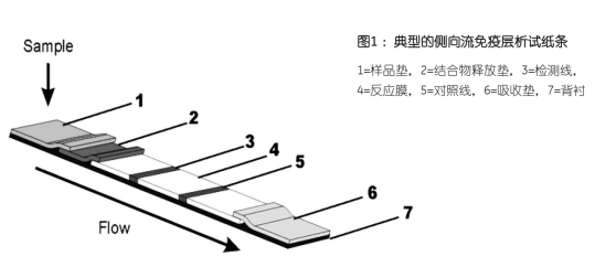 当今传染病流行环境下免疫层析技术的发展动力分析