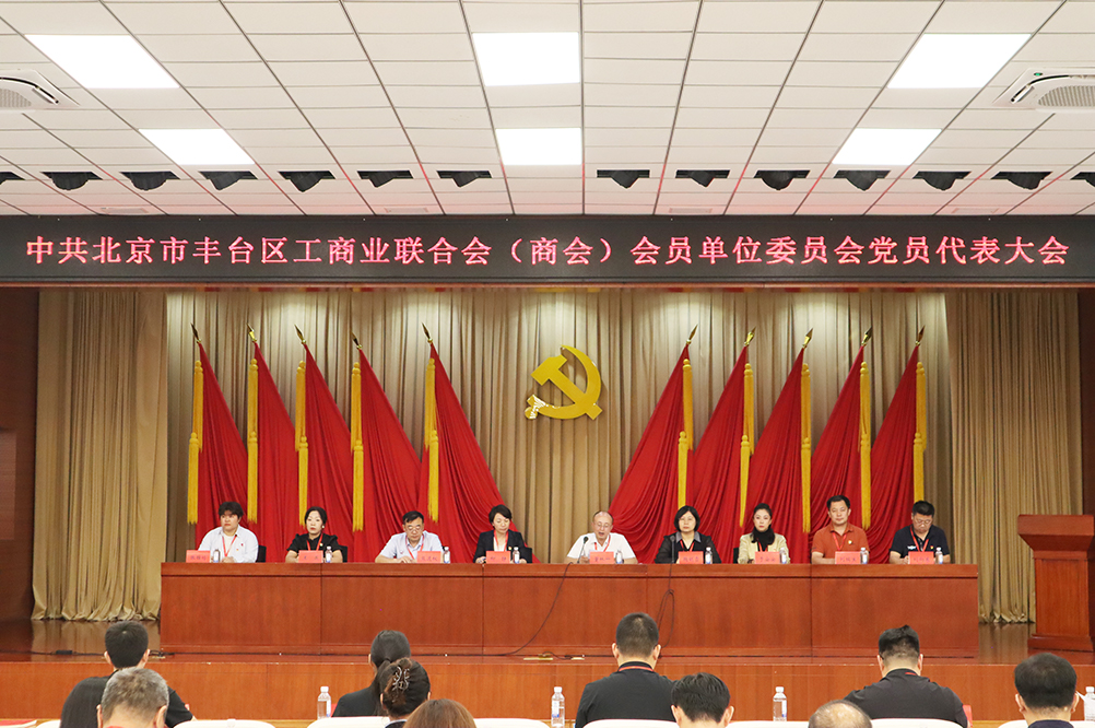 祝贺 | 柳静当选区工商联（商会）会员单位党委副书记